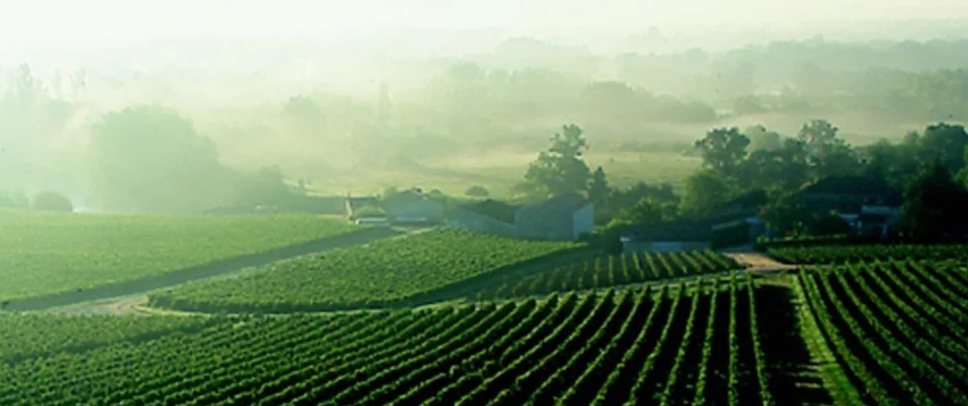 la Croix St Vincent Pomerol